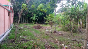  Plot For Sale in Malancha Mahi Nagar