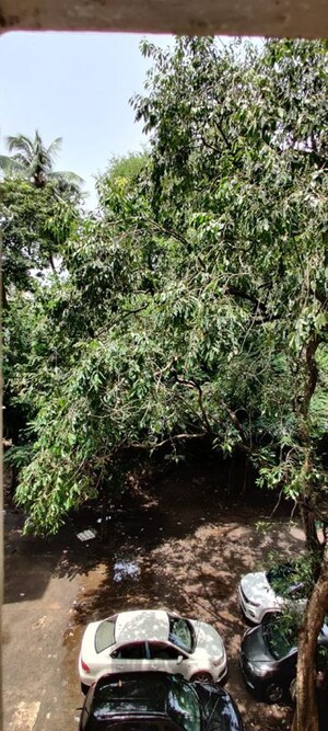 1 BHK Apartment – Garden View at Bandra West - for Rent