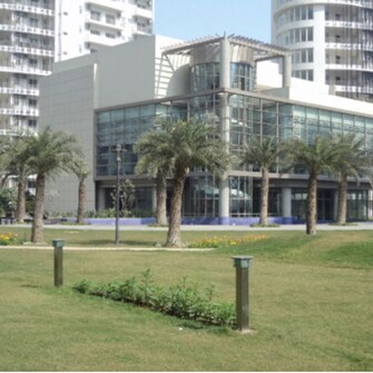 3 BHK +Apartment For Rent in Emaar MGF The Palm Drive Villas in Sector 66, Gurgaon