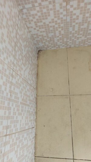 Bathroom in 1 BHK Independent House at AVJ Homes, Beta Ii Greater Noida – for Rent