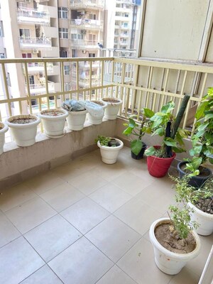 Balcony in 2 BHK Apartment at ACE Aspire, Tech Zone 4 Greater Noida – for Sale