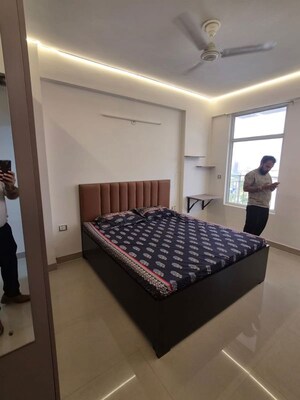 1 BHK Apartment For Rent in ROF Amaltas, Sector 92