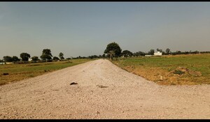 Plot Area in  Plot at Amleshwar – for Sale