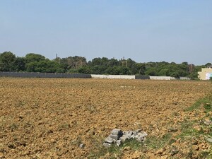 Plot Area in  Plot at Kumhari – for Sale
