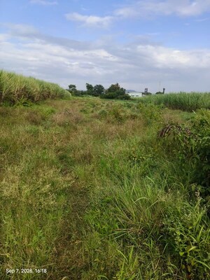  Land For Sale in Wai