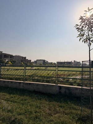 Plot Area in  Plot at Sector 82 – for Sale