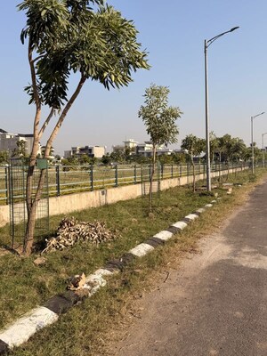 Plot Area in  Plot at Sector 82 – for Sale