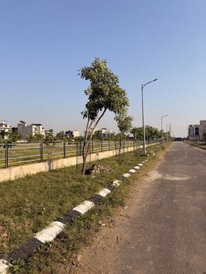 Plot Area in  Plot at Sector 82 – for Sale