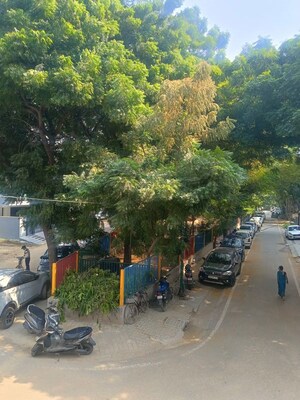 3 BHK Builder Floor For Rent in South City 2