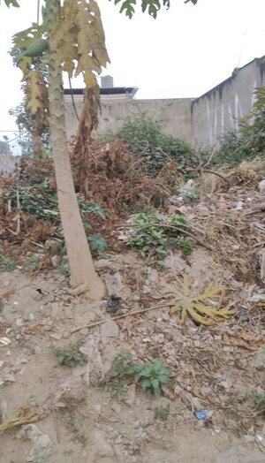 Plot Area in  Industrial Plot at Sheetal Vihar Raebareli Road, Raebareli Road – for Sale