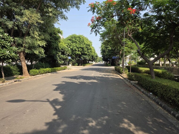 Garden, omaxe-new-chandigarh  250 Sq.Yd. Plot In North Mullanpur Chandigarh 10782457