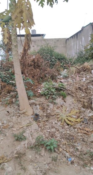 Plot Area in  Plot at Gayatri Vihar – for Sale