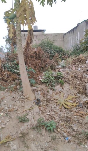 Plot Area in  Plot at Gayatri Vihar – for Sale