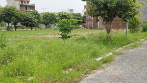  Plot For Sale in Eta Ii Greater Noida