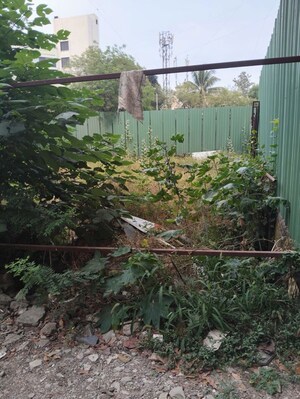  Plot For Sale in Pimple Nilakh