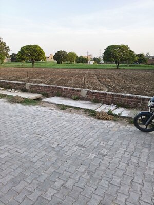  Plot For Sale in Sector 7
