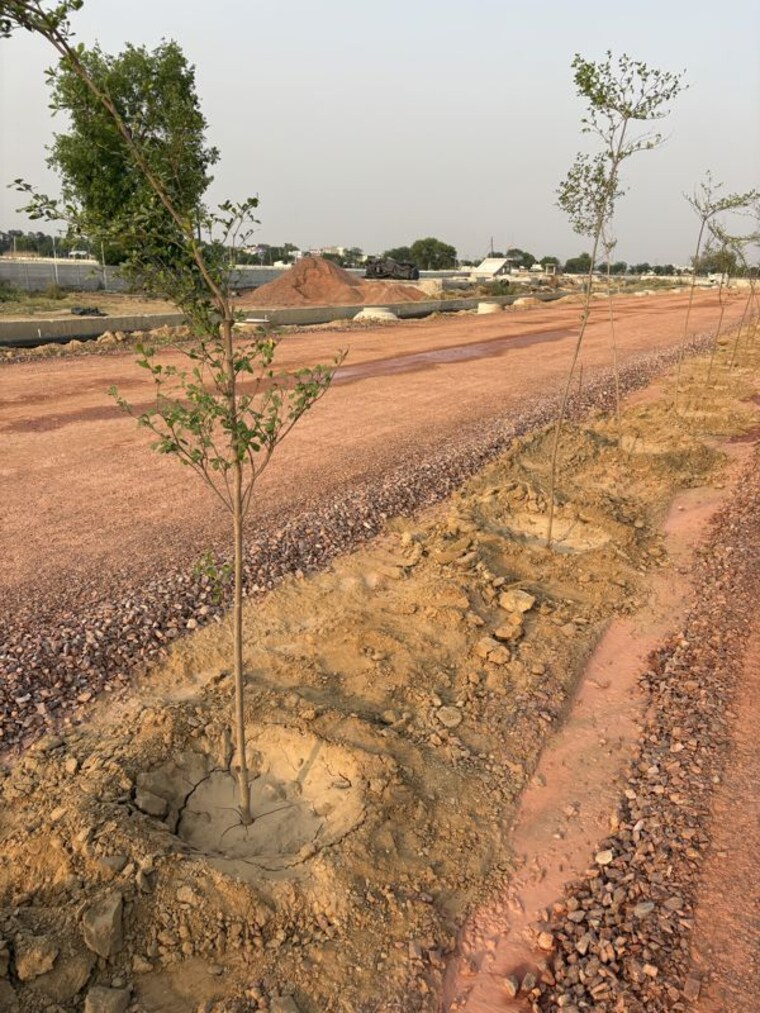 undefined, spiti-heritage-homes  100 Sq.Yd. Plot In Pataudi Gurgaon 9986312