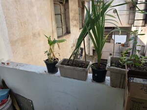 2 BHK Apartment – Exterior View View at Samta Colony - for Sale