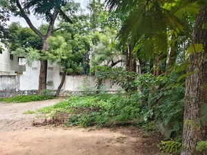  Villa – Garden View at Sindhi Colony - for Sale