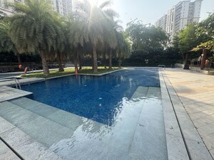 Swimming Pool in 3 BHK Apartment at DLF Regal Gardens, Sector 90 – for Rent