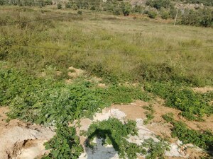 Plot Area in  Plot at Sultanpalya – for Sale