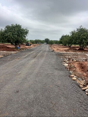 Plot Area in  Plot at Surampalli – for Sale