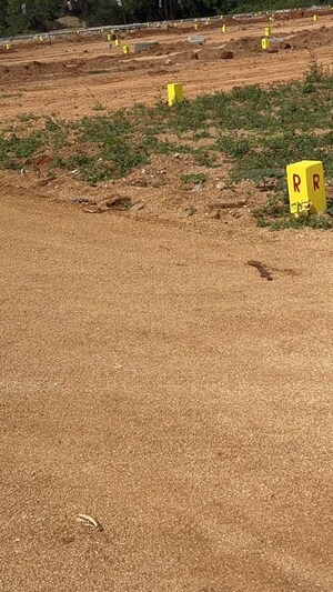 Plot Area in  Plot at Deshmukhi – for Sale