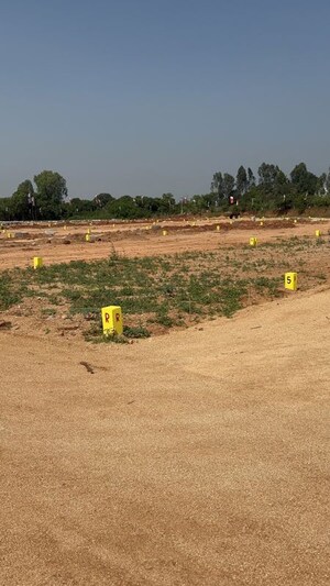 Plot Area in  Plot at Pamarru – for Sale