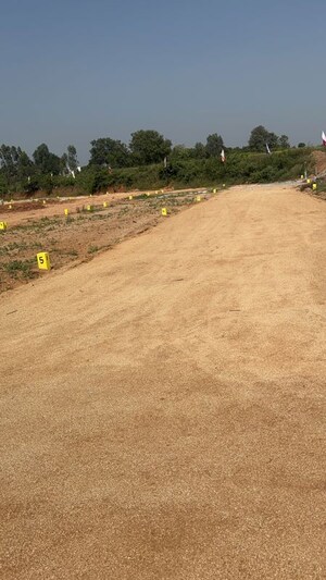 Plot Area in  Plot at Pamarru – for Sale