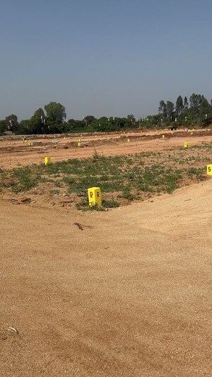 Plot Area in  Plot at Pamarru – for Sale