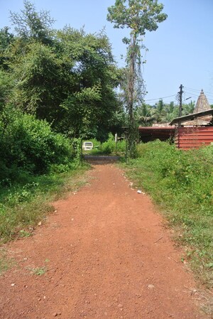  Warehouse – Exterior View View at Mapusa - for Rent