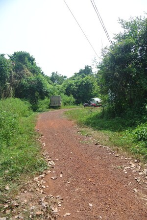  Warehouse – Exterior View View at Mapusa - for Rent
