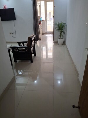 2 BHK Apartment For Rent in MGH Mulberry County, Sector 70