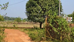   Plot at Kantabada – for Sale