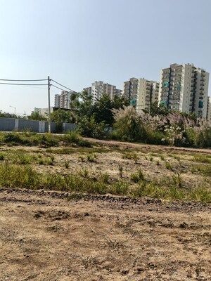 Plot Area in  Plot at Dhankot – for Sale