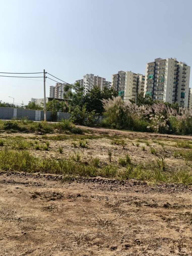 undefined, dhankot  100 Sq.Yd. Plot In Dhankot Gurgaon 10784575