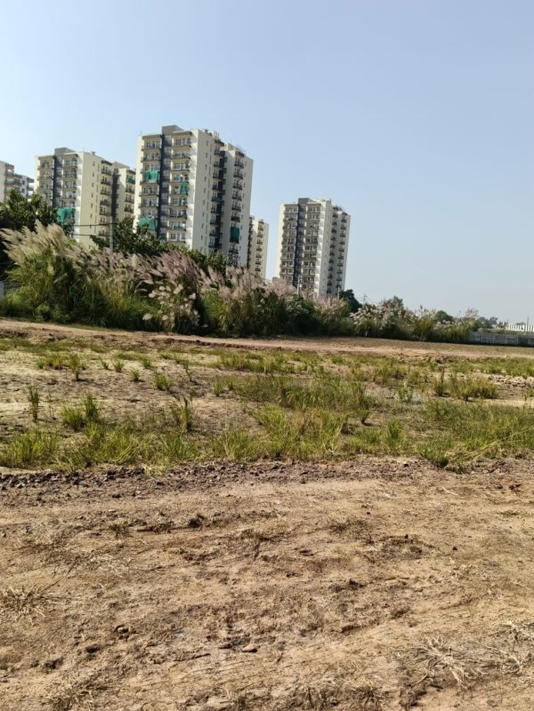 undefined, dhankot  100 Sq.Yd. Plot In Dhankot Gurgaon 10784575