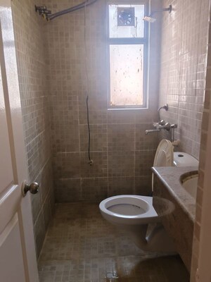 Bathroom in 2 BHK Apartment at Paras Tierea, Sector 137 – for Rent