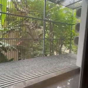 Balcony in 4 BHK Apartment at Birla Navya, Sector 63a – for Rent