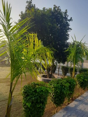  Plot – Garden View at Garhmukteshwar - for Sale