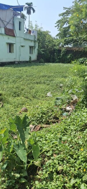 Plot Area in  Plot at Nageswar Tangi – for Sale
