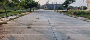 Plot Area in  Plot at Galla Mandi – for Sale