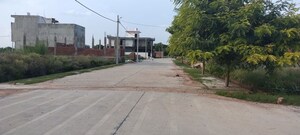  Plot – Exterior View View at Galla Mandi - for Sale