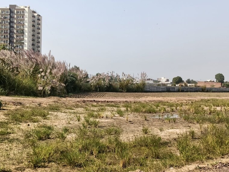 undefined, sector 9b  100 Sq.Yd. Plot In Sector 9b Gurgaon 10784935