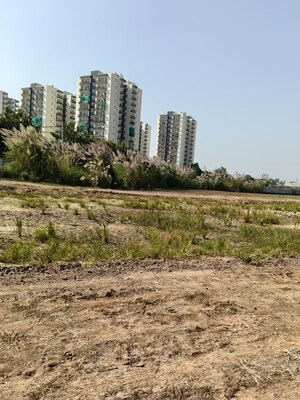 Plot Area in  Plot at Sector 9b – for Sale