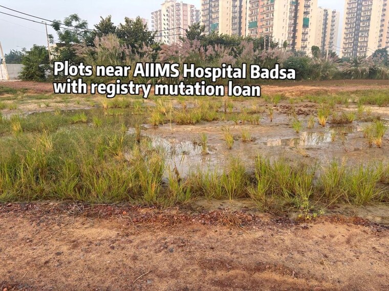 undefined, sector 9b  100 Sq.Yd. Plot In Sector 9b Gurgaon 10784935