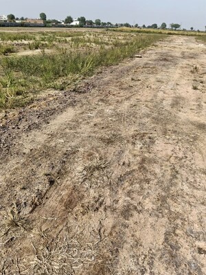 Plot Area in  Plot at Budhera – for Sale