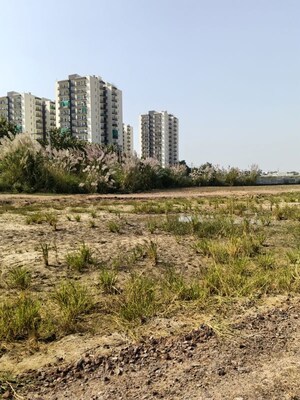 Plot Area in  Plot at Budhera – for Sale
