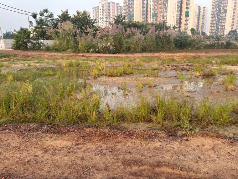 undefined, budhera  100 Sq.Yd. Plot In Budhera Gurgaon 10784978