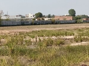 Plot Area in  Plot at Budhera – for Sale